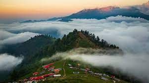 تصویر تور